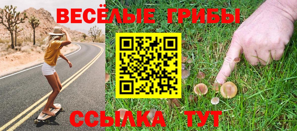 Псилоцибиновые грибы мицелий Кунгур