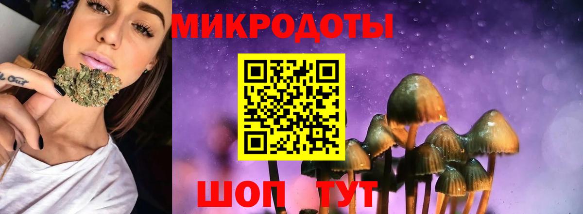 Галлюциногенные грибы мухоморы Кунгур